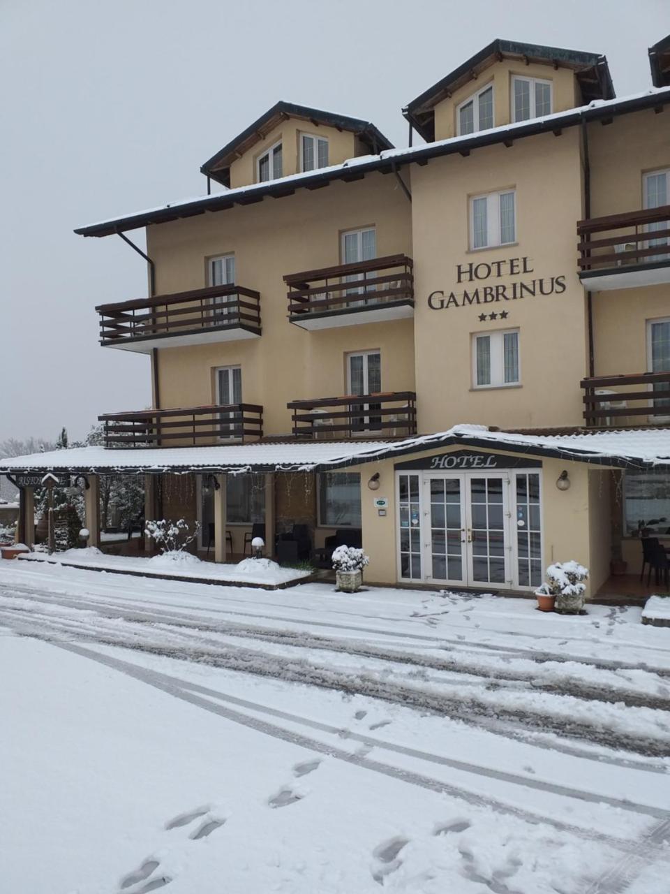 Hotel Gambrinus Abbadia San Salvator Dış mekan fotoğraf